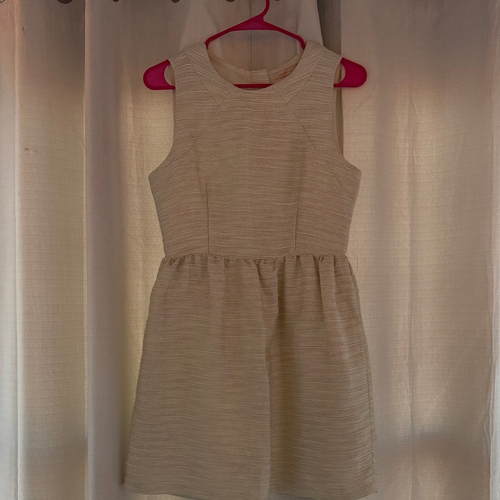 Elegant Cream and Silver Sleeveless Dress